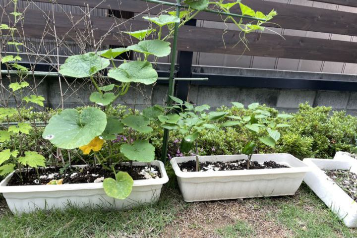 女性専用シニア・シェアハウス、ルツ館の1階、玄関写真