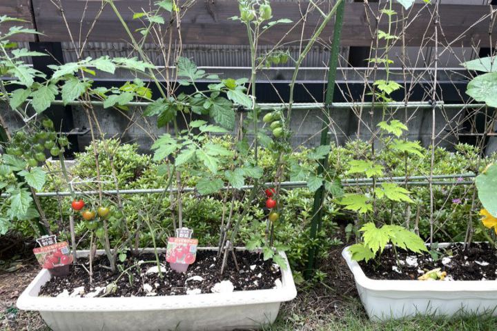 女性専用シニア・シェアハウス、ルツ館の1階、事務所写真